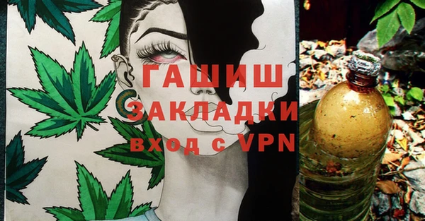 PSILOCYBIN Волосово