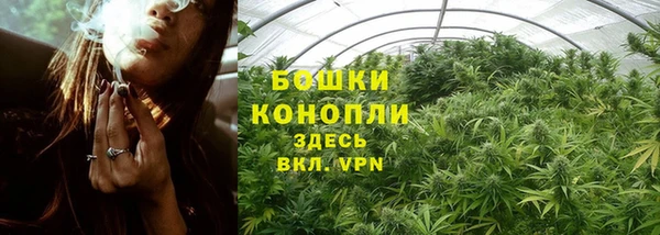 PSILOCYBIN Волосово