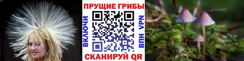 Купить закладки  Малая Вишера  Галлюциногенные грибы прущие грибы 